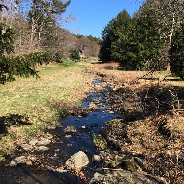 Uninterrupted Stream An Unobstructed Stream