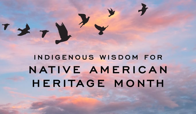 BL_NativeAmericanHeritageMonth2023_BlogBanner