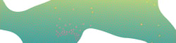 BL_TheShapeOfJoy_EmailBanner
